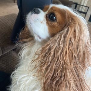 Meet your Posher, Maggie